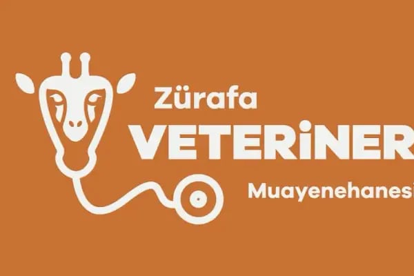 Zürafa Veteriner Muayenehanesi - Resim 10
