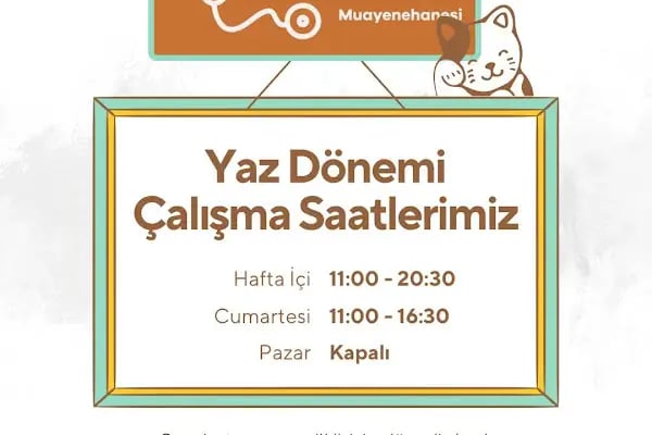 Zürafa Veteriner Muayenehanesi - Resim 9