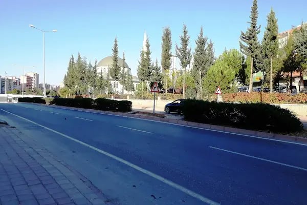 Hatice Kurttepeli Cami - Resim 9