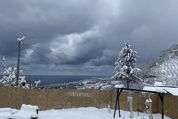 ANDERHANA BUNGALOV - Resim 8