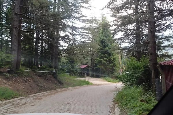 Başkonuş Yaylası Orman Evleri - Resim 13