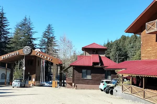 Başkonuş Yaylası Orman Evleri - Resim 11