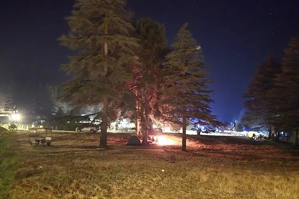 Başkonuş Yaylası Orman Evleri - Resim 15