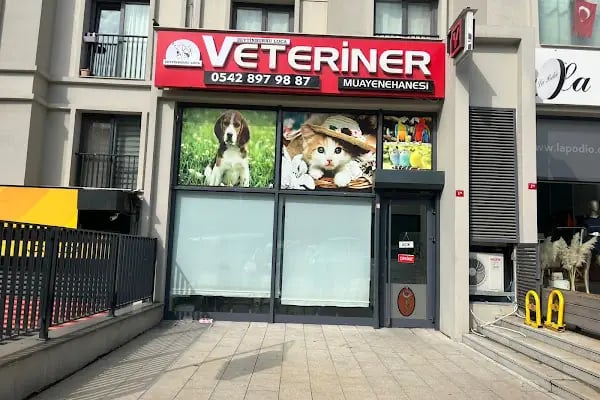 ZEYTİNBURNU LOCA VETERİNER KLİNİĞİ - Resim 3