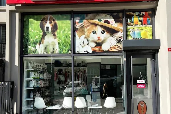 ZEYTİNBURNU LOCA VETERİNER KLİNİĞİ - Resim 1