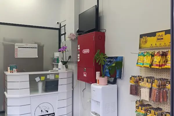 ZEYTİNBURNU LOCA VETERİNER KLİNİĞİ - Resim 11