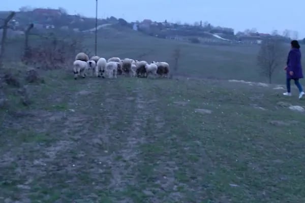 Çinili Mescidi - Resim 7