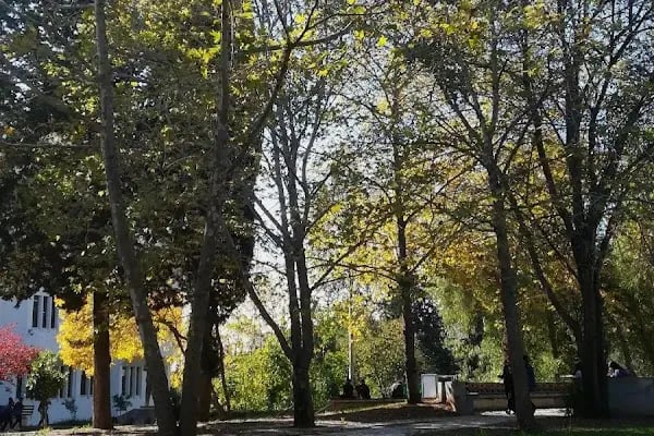 Çukurova Üniversitesi - Resim 8