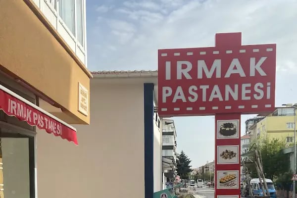 Irmak Pastanesi - Resim 2