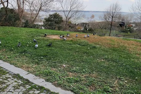 İBB Cemal Kaytaz Parkı - Resim 2