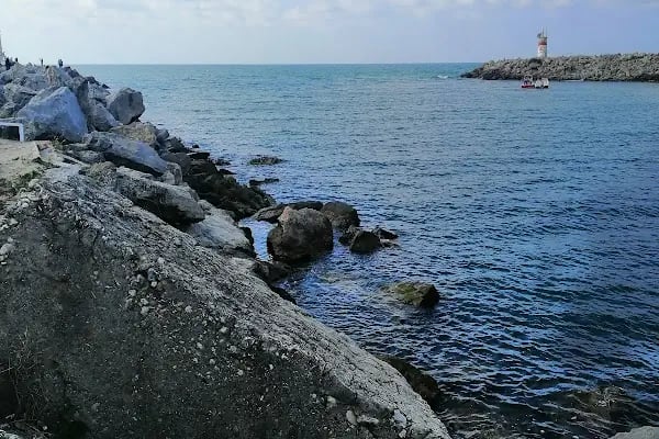 BLACK SEA SUİT - Resim 17
