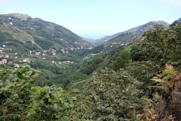 Akören Köyü Cami - Resim 8