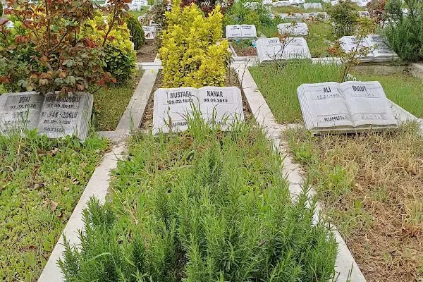 Küçük Halkalı - Resim 4
