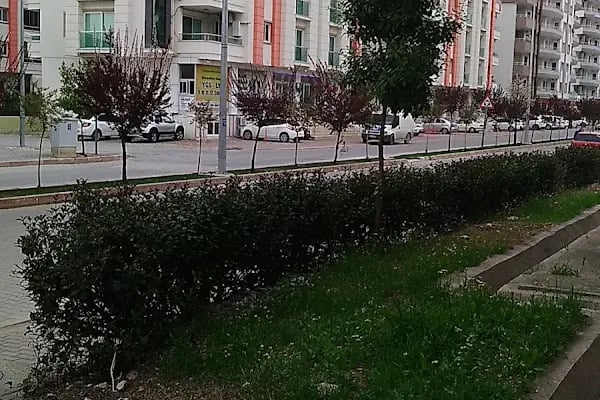 A-101-afetevleri Şubesi - Resim 6