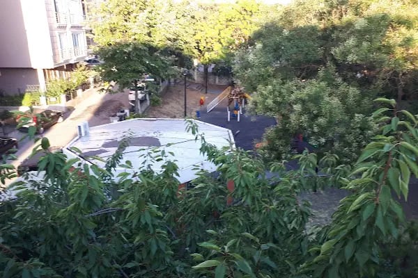 Taşkent Parkı - Resim 7