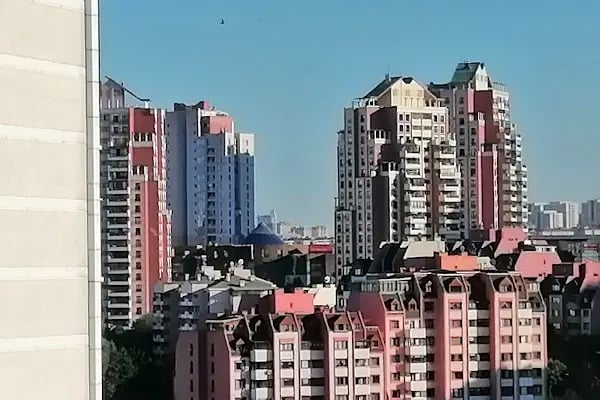 Osman tosun kral ağacı - Resim 11