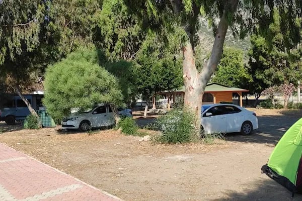 Bilgehan Parkı - Resim 7