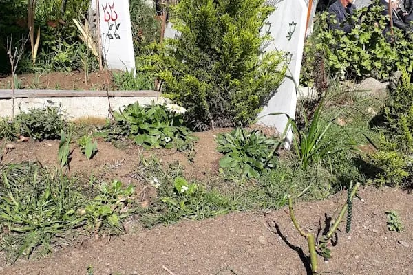 ALSANCAK KABRISTANLI GI - Resim 5