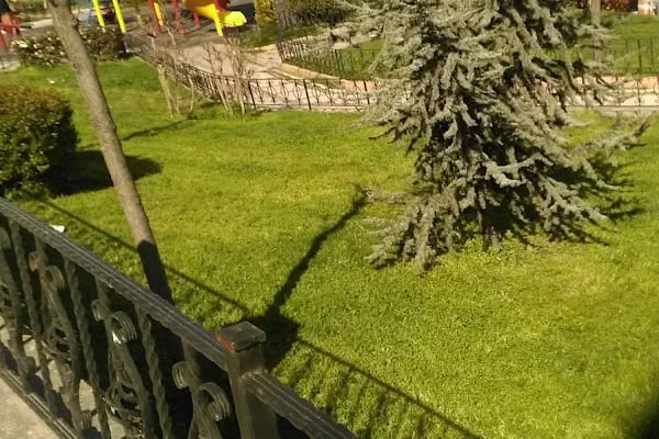 Şht. Rafet Uçankuş Parkı - Resim 19
