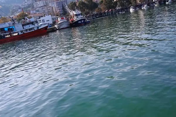 Akçaabat Limanı - Resim 2