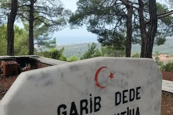 Tahtakuslar Mezarlığı - Resim 18