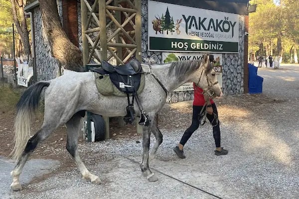 Yakaköy Mesire ve Piknik Alanı - Resim 11