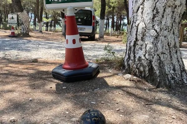 Yakaköy Mesire ve Piknik Alanı - Resim 5