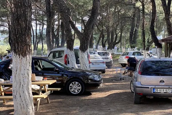 Yakaköy Mesire ve Piknik Alanı - Resim 4