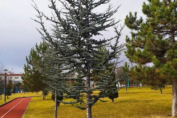 Millî Egemenlik Parkı - Resim 3