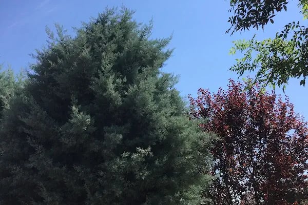 Millî Egemenlik Parkı - Resim 8