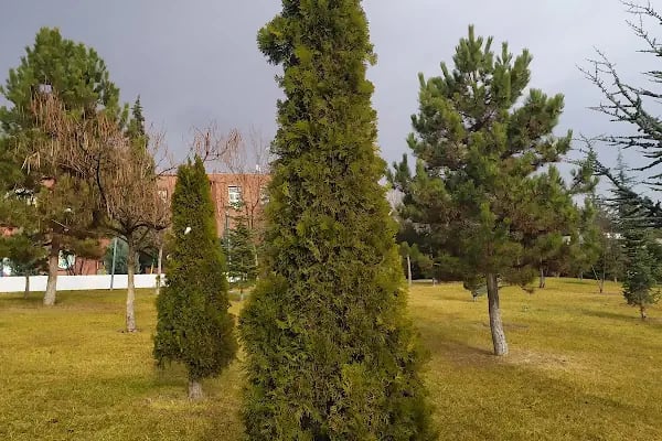 Millî Egemenlik Parkı - Resim 14