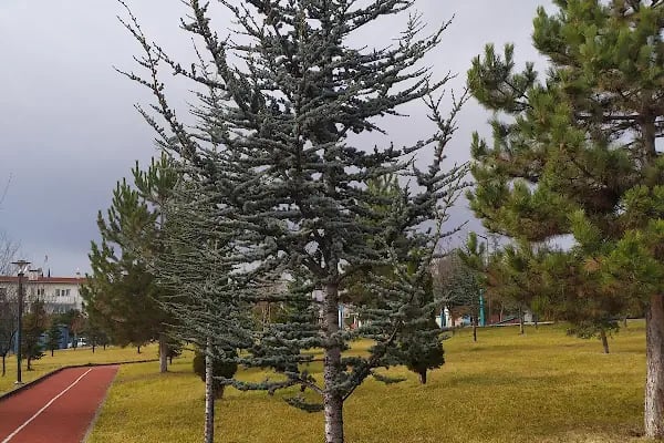 Millî Egemenlik Parkı - Resim 12