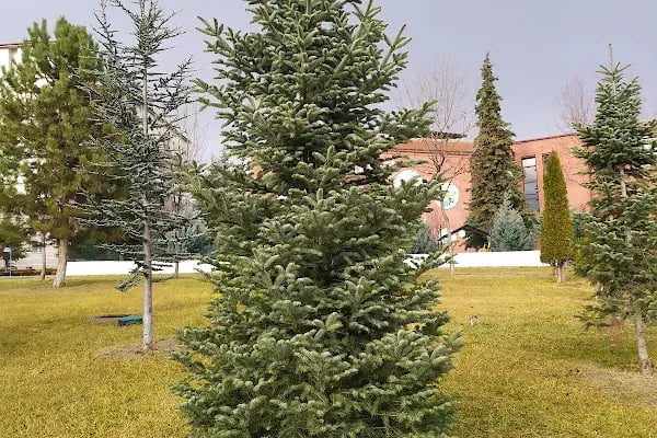 Millî Egemenlik Parkı - Resim 13