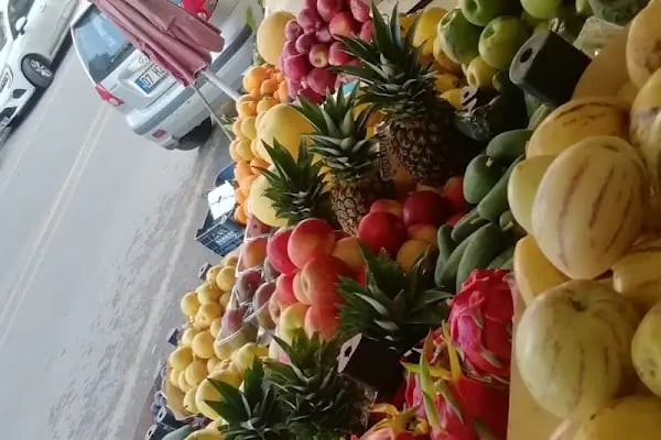3K KARAAĞAÇLAR MANAV (3 Kardeşler) - Resim 10