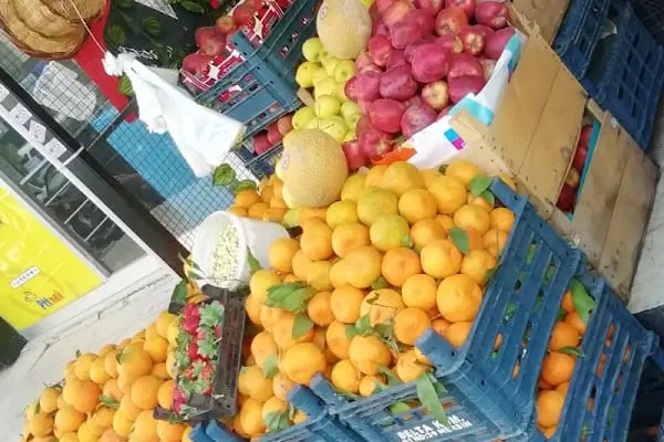 3K KARAAĞAÇLAR MANAV (3 Kardeşler) - Resim 18