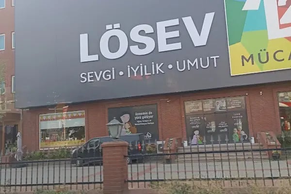 LÖSEV - Resim 3