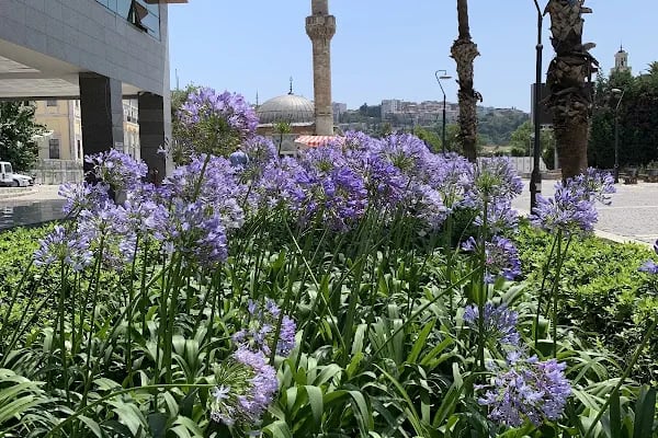 İzmir Konak Camii - Resim 18