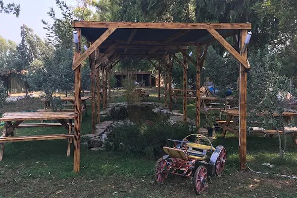 Kanatlı Bahçem - Resim 5