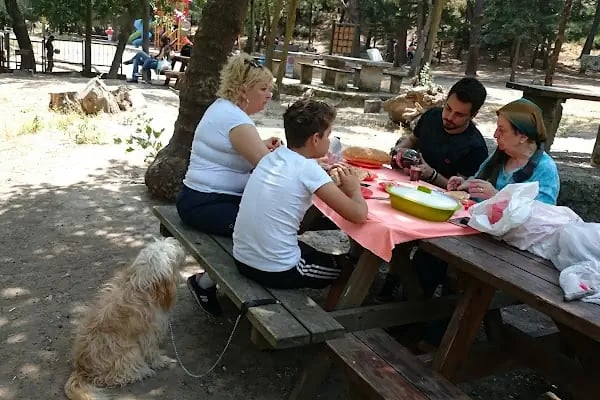 Balıkesir Piknik Ve Mesire Alanı - Resim 4