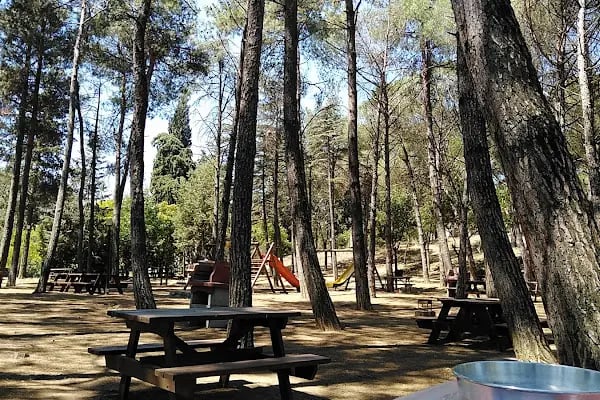 Balıkesir Piknik Ve Mesire Alanı - Resim 19