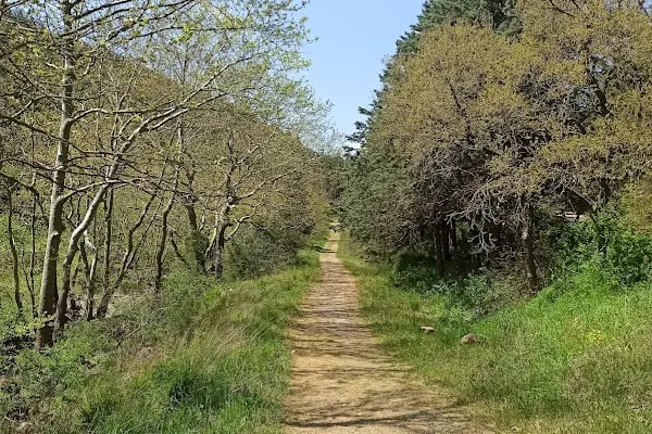 Balıkesir Piknik Ve Mesire Alanı - Resim 16