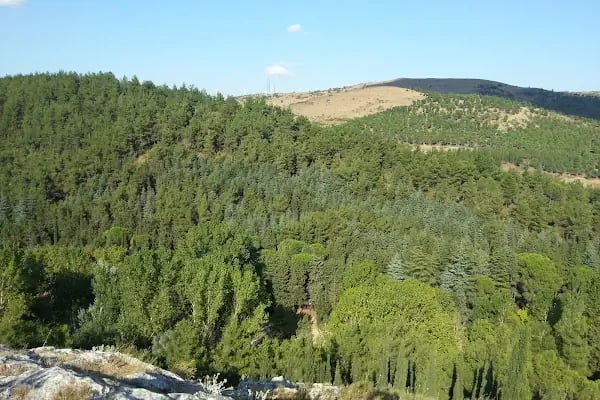 Balıkesir Piknik Ve Mesire Alanı - Resim 5