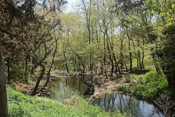 Balıkesir Piknik Ve Mesire Alanı - Resim 10