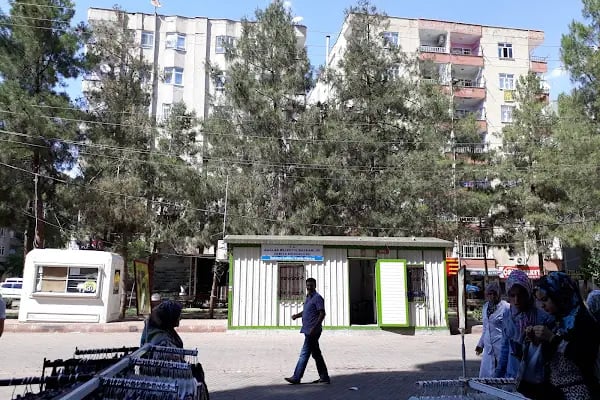 Sarı Parkı - Resim 1