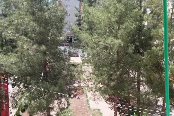 Sarı Parkı - Resim 7