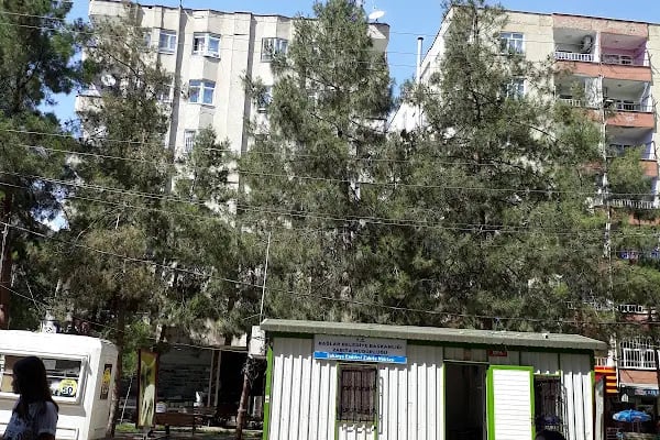 Sarı Parkı - Resim 20