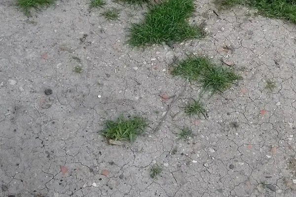 TAŞKOPARAN PARKI - Resim 3
