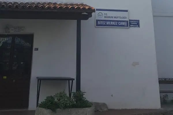 Ağaçlı Köyü Cami - Resim 12