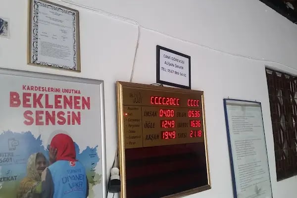 Ağaçlı Köyü Cami - Resim 10