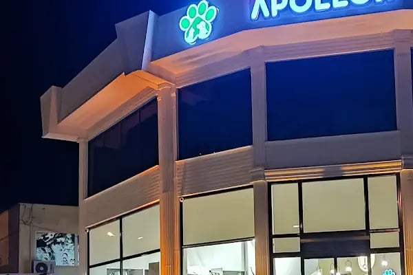 Side Apollon Veteriner Kliniği - Resim 2